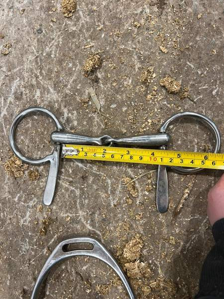 12-15cm kuolaimia Iisalmi - photo 3