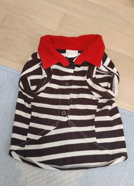 Pienen koiran paita Турку - изображение 2