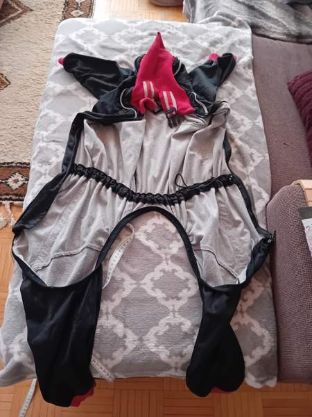 Koiran jumppapuku Kuopio – foto 4