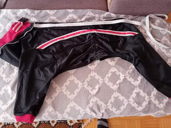 Koiran jumppapuku Kuopio – foto 1