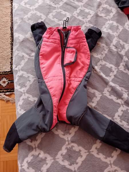 Koiran lämpöpuku Kuopio - photo 3