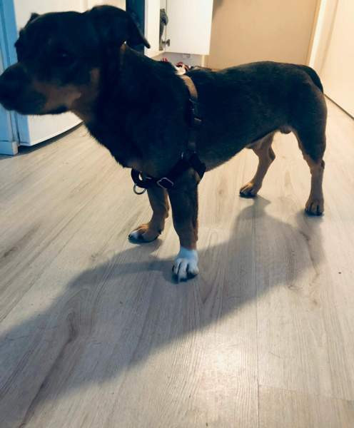 Vedonestovaljaat Helsinki - изображение 2