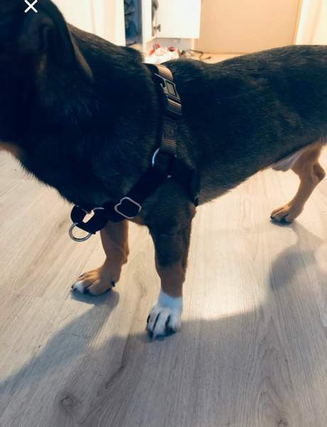 Vedonestovaljaat Helsinki - изображение 1