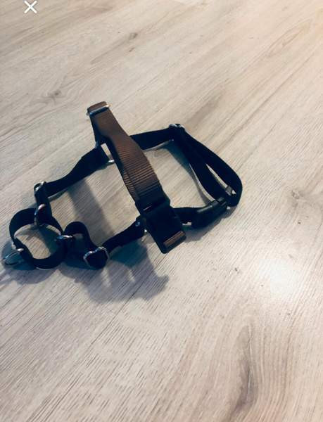 Vedonestovaljaat Helsinki - изображение 3