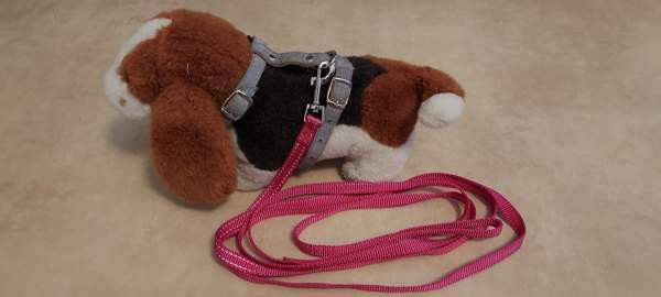 Valjaat ja hihna Helsinki – foto 2