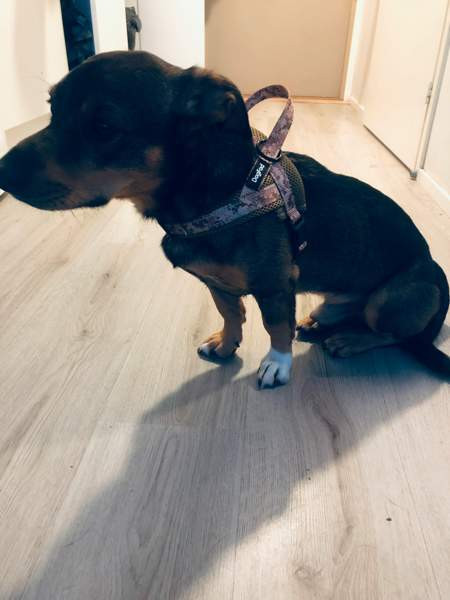 Valjaat Helsinki – foto 2