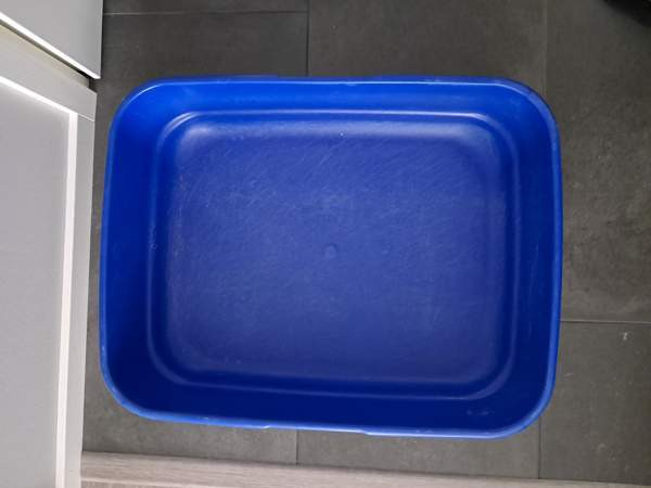 Kissan hiekkalaatikko Vantaa - photo 3