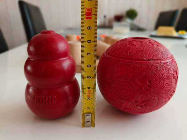 Aktivointilelupaketti pienelle koiralle Petäjävesi – foto 2
