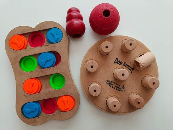 Aktivointilelupaketti pienelle koiralle Petäjävesi - изображение 1