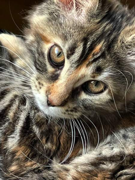 Ihana tyttö Nurmijaervi - photo 2