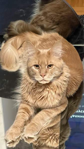 Ihana tyttö Nurmijaervi - photo 6