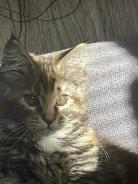 Ihana tyttö Nurmijaervi - photo 5