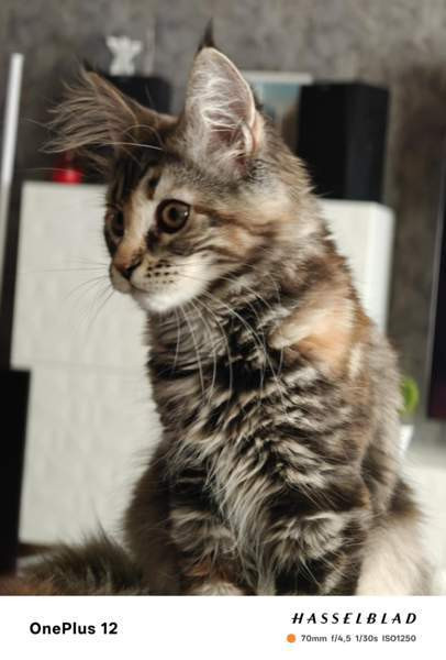 Ihana tyttö Nurmijaervi - photo 3