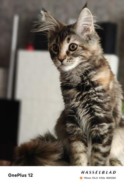 Ihana tyttö Nurmijaervi - photo 4