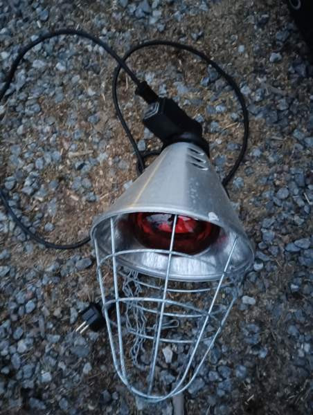 Lämpölamppu Turku - photo 1