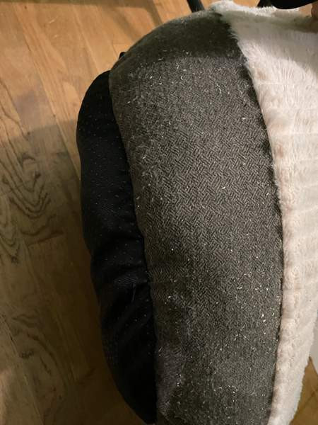 Scruffs Ellen donitsipeti Helsinki - photo 2