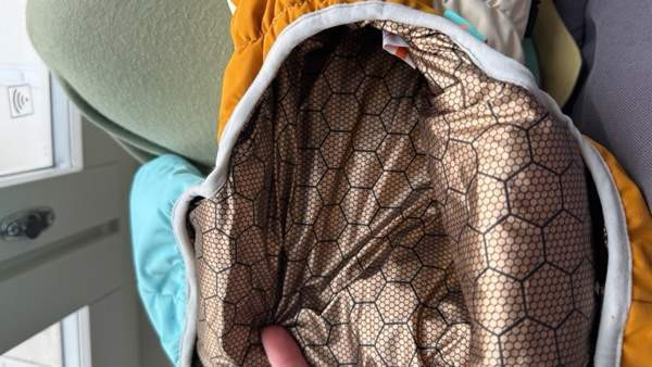 Koiran talvihaalari Helsinki - photo 3