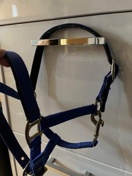 Shettis kokoinen sininen riimu Janakkala - photo 3