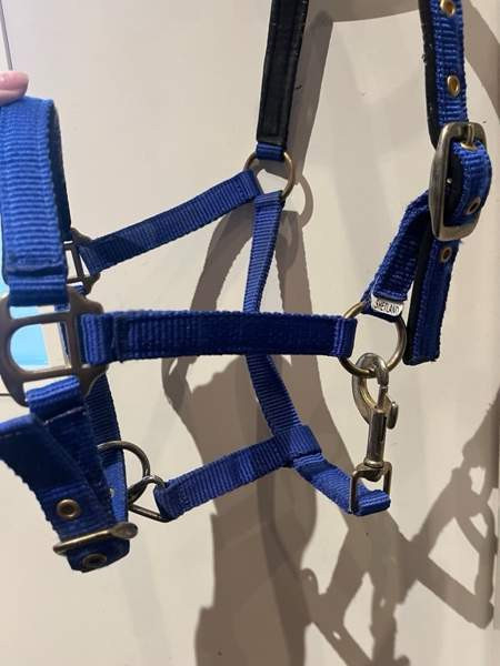 Shettis kokoinen sininen riimu Janakkala - photo 1