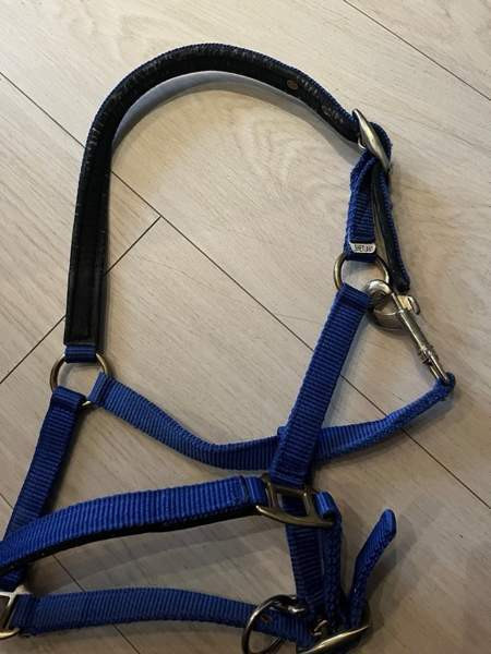 Shettis kokoinen sininen riimu Janakkala - photo 2