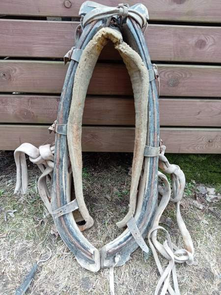 Hevosen länget Jokioinen - photo 1