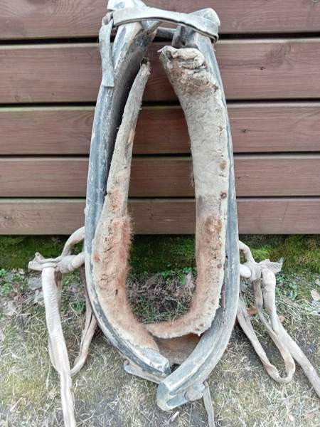 Hevosen länget Jokioinen - изображение 1