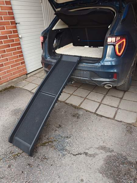 Nousuramppi lemmikille. Lahti – foto 2