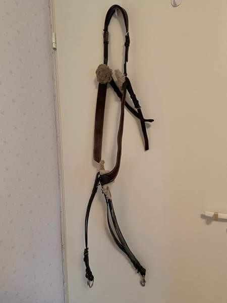 FULL martingaali Iisalmi - photo 1