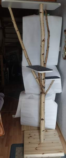 Kiipeilypuu Коувола - изображение 1