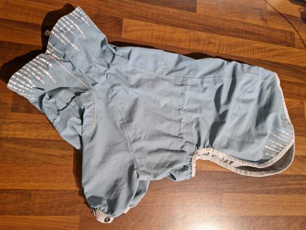 Koiran  sadehaalari Oulu - valokuva 1