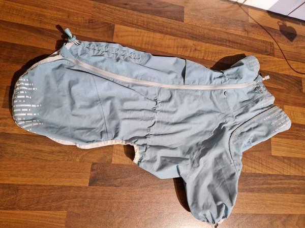 Koiran  sadehaalari Oulu - valokuva 2