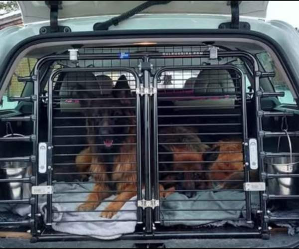 Koiraveräjä Volvo v70 2014 -> Коувола - изображение 1