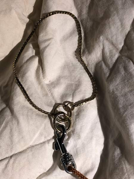 Näyttelypanta ja hihna Espoo – foto 2