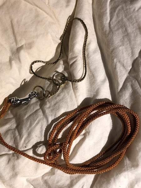 Näyttelypanta ja hihna Espoo – foto 1