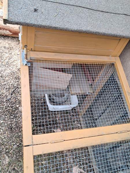 Kanin häkki Hyvinge - photo 2