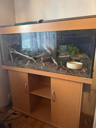 Viljakäärme ja terraario Варкаус - изображение 2