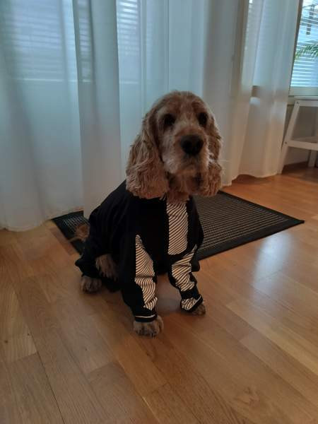 Kurahaalari Тампере - изображение 1