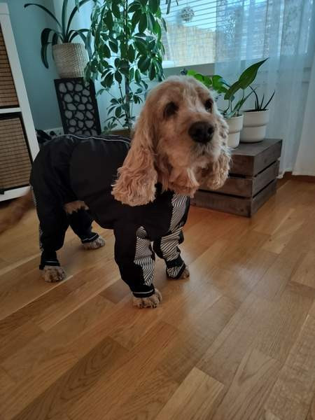 Kurahaalari Тампере - изображение 2