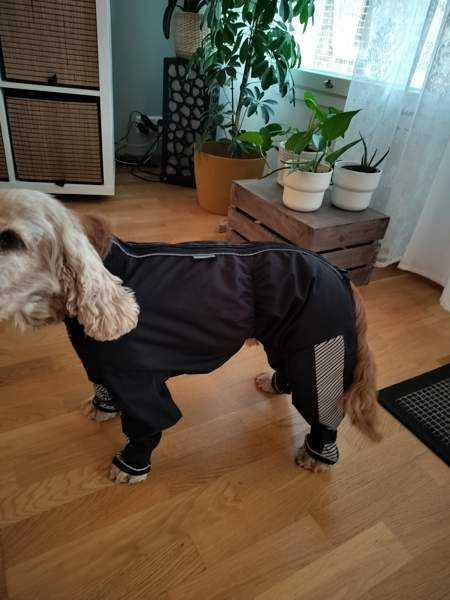 Kurahaalari Тампере - изображение 3