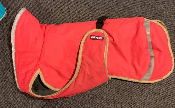 Paddy pomppa 37 Kangasala - photo 1