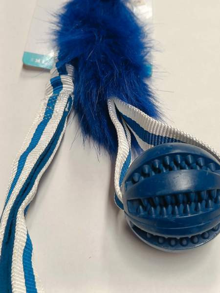 Koiranlelu Best Friend Boost pallo Eura - valokuva 2