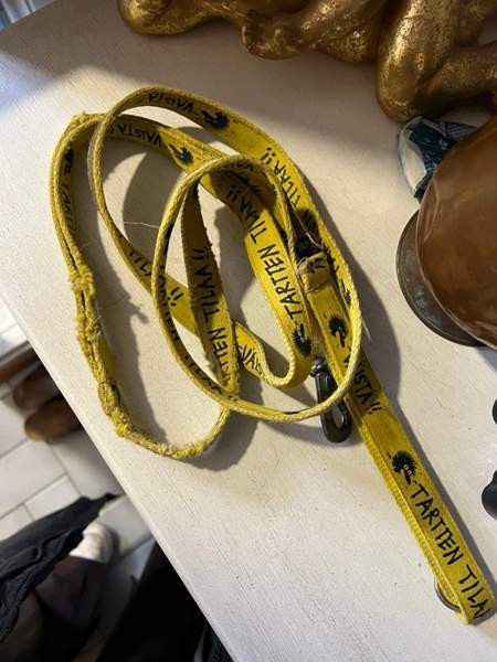 Kiroileva siili-hihna Pälkäne - photo 1