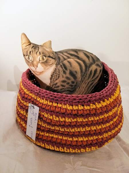 Kissan kori Vantaa – foto 1