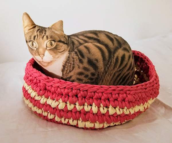 Kissan kori 2. Vantaa - valokuva 1