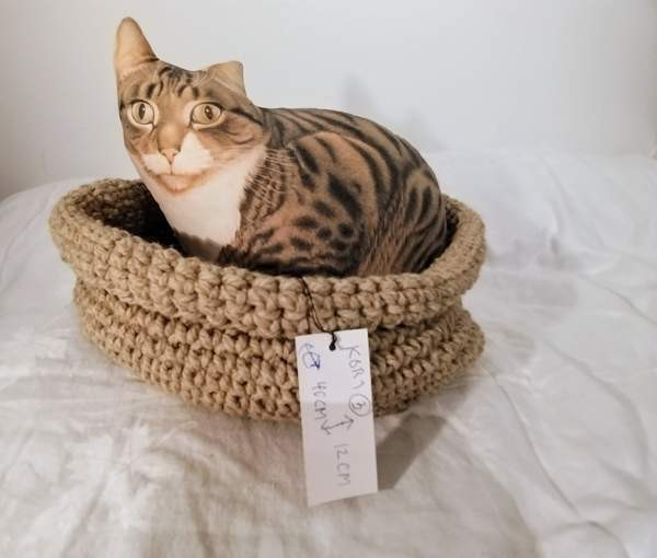 Kissan kori vihreä Vantaa - valokuva 1