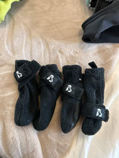 Koiran tossut Vantaa - photo 1