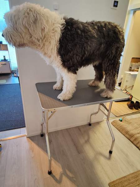 Trimmauspöytä Maentsaelae - photo 4