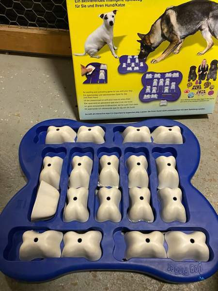 Dog Finder Helsinki - photo 2