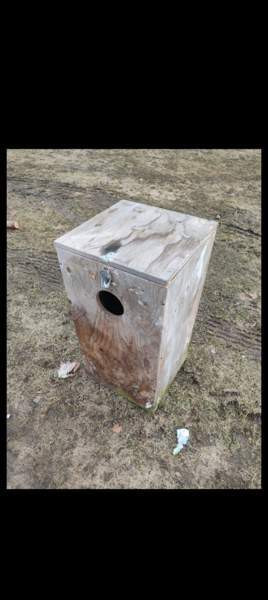 Kaunis Telkänpönttö Kitee - valokuva 2