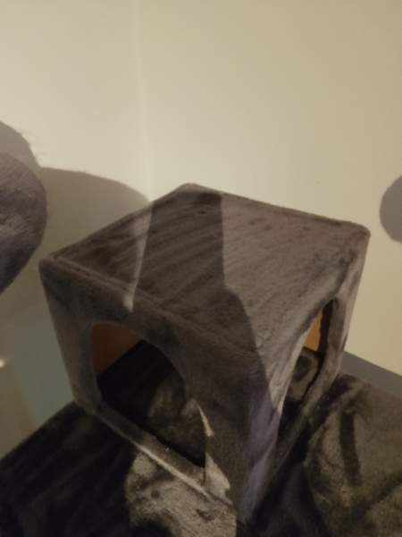 Kissan raapimapuu VARATTU Лахти - изображение 3